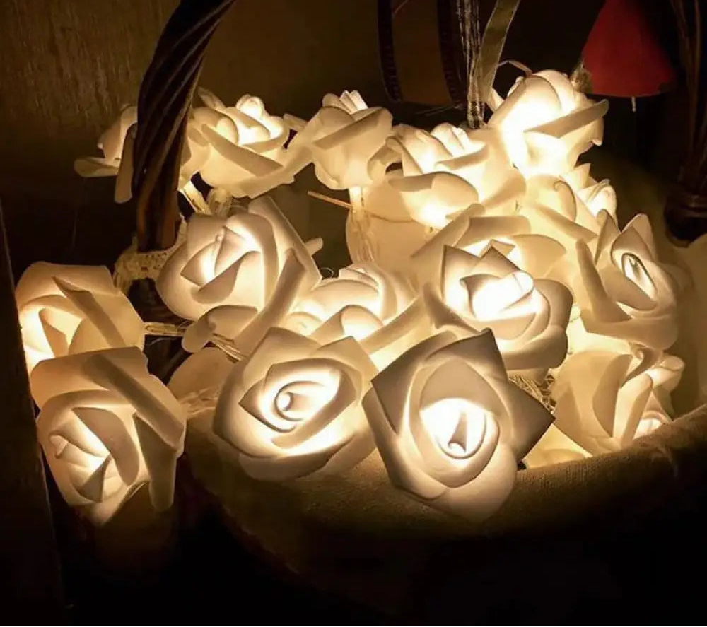 20 Flower Led String Light