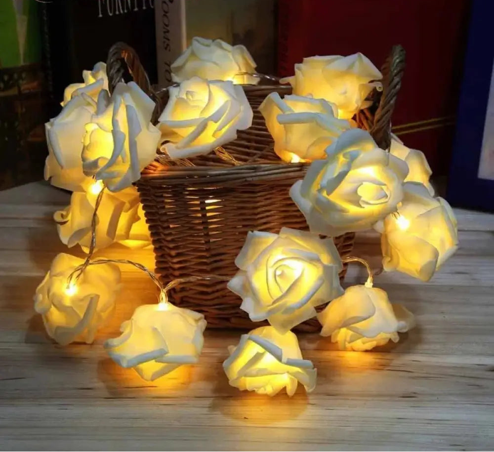 20 Flower Led String Light