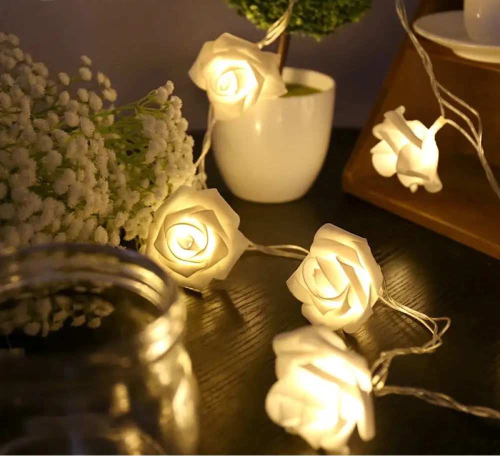 20 Flower Led String Light