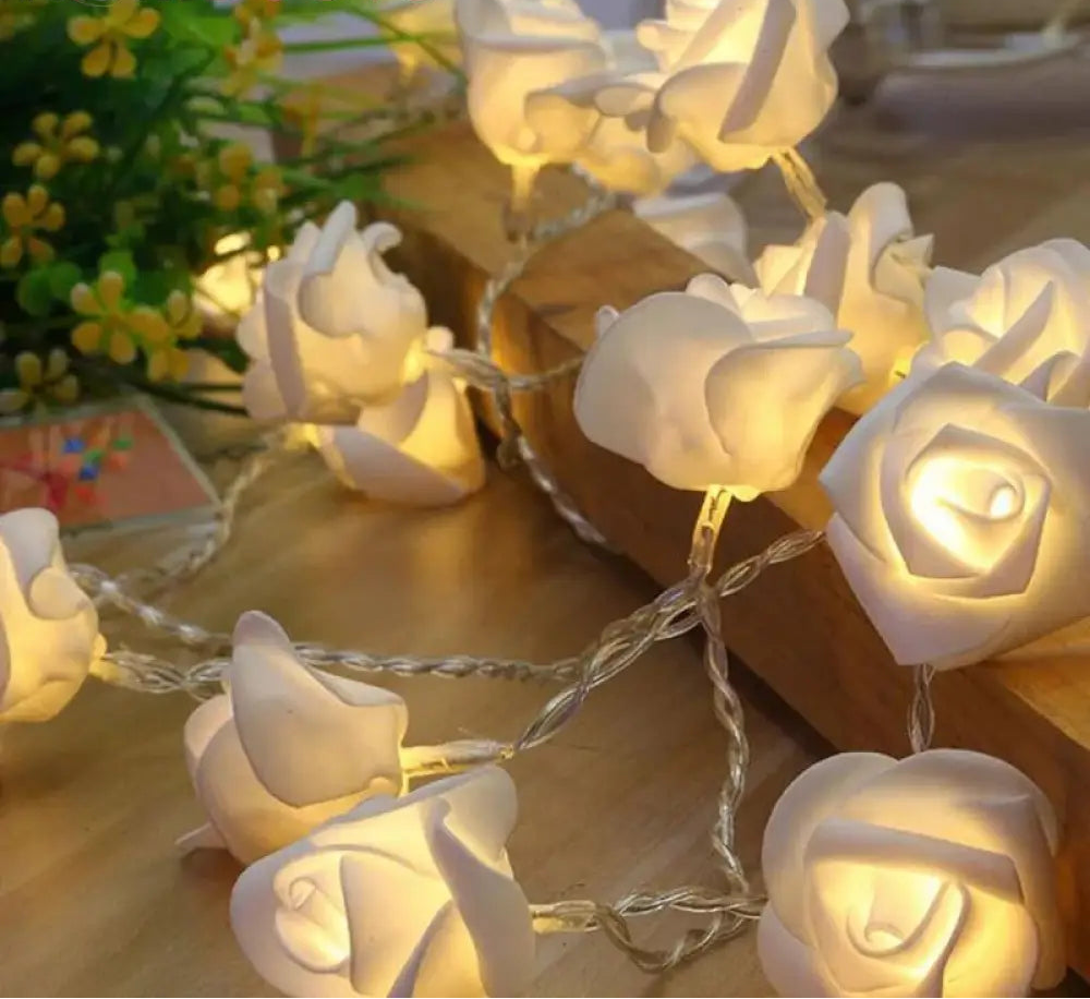 20 Flower Led String Light